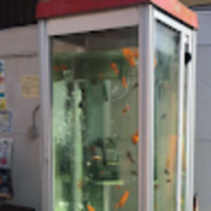 Meet your Posher, Julia